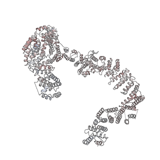 0955_6lqv_RP_v1-2
Cryo-EM structure of 90S small subunit preribosomes in transition states (State C1)