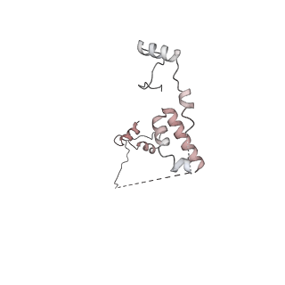 0955_6lqv_RQ_v1-1
Cryo-EM structure of 90S small subunit preribosomes in transition states (State C1)