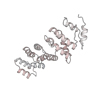 0955_6lqv_RS_v1-1
Cryo-EM structure of 90S small subunit preribosomes in transition states (State C1)
