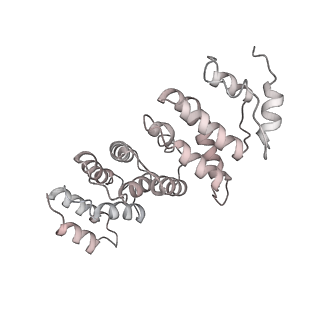 0955_6lqv_RS_v1-2
Cryo-EM structure of 90S small subunit preribosomes in transition states (State C1)