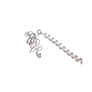 0955_6lqv_SH_v1-2
Cryo-EM structure of 90S small subunit preribosomes in transition states (State C1)