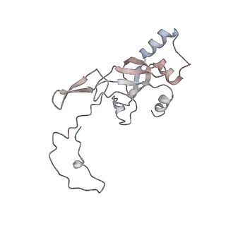 0955_6lqv_SJ_v1-1
Cryo-EM structure of 90S small subunit preribosomes in transition states (State C1)