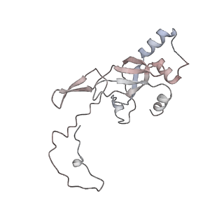 0955_6lqv_SJ_v1-2
Cryo-EM structure of 90S small subunit preribosomes in transition states (State C1)