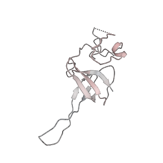 0955_6lqv_SM_v1-2
Cryo-EM structure of 90S small subunit preribosomes in transition states (State C1)