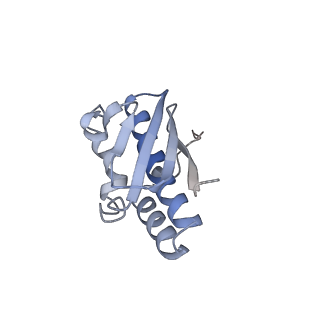 0955_6lqv_SR_v1-1
Cryo-EM structure of 90S small subunit preribosomes in transition states (State C1)