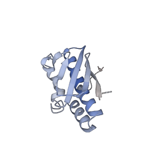 0955_6lqv_SR_v1-2
Cryo-EM structure of 90S small subunit preribosomes in transition states (State C1)