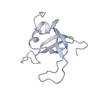 0955_6lqv_SY_v1-1
Cryo-EM structure of 90S small subunit preribosomes in transition states (State C1)