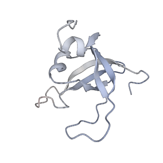 0955_6lqv_SY_v1-2
Cryo-EM structure of 90S small subunit preribosomes in transition states (State C1)