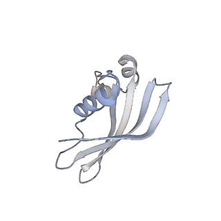 0955_6lqv_SZ_v1-2
Cryo-EM structure of 90S small subunit preribosomes in transition states (State C1)