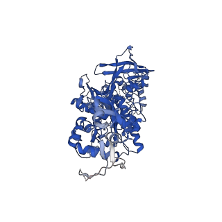 23482_7lq6_A_v1-0
CryoEM structure of Escherichia coli PBP1b