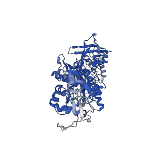 23482_7lq6_A_v1-1
CryoEM structure of Escherichia coli PBP1b