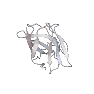 23489_7lqv_W_v1-0
Cryo-EM structure of NTD-directed neutralizing antibody 4-8 Fab in complex with SARS-CoV-2 S2P spike
