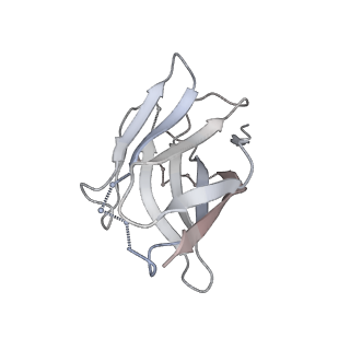 23489_7lqv_Y_v1-0
Cryo-EM structure of NTD-directed neutralizing antibody 4-8 Fab in complex with SARS-CoV-2 S2P spike