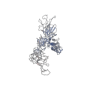 23490_7lqw_C_v1-2
Cryo-EM structure of NTD-directed neutralizing antibody 2-17 Fab in complex with SARS-CoV-2 S2P spike
