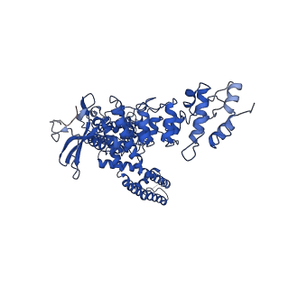 23491_7lqy_C_v1-2
Structure of squirrel TRPV1 in apo state