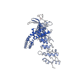 23492_7lqz_B_v1-1
Structure of squirrel TRPV1 in complex with RTX