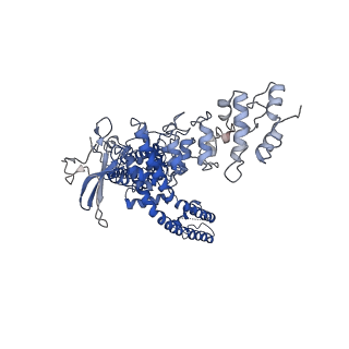 23492_7lqz_C_v1-1
Structure of squirrel TRPV1 in complex with RTX