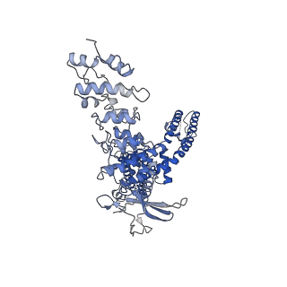 23492_7lqz_D_v1-1
Structure of squirrel TRPV1 in complex with RTX