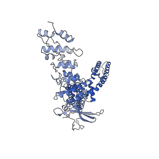 23492_7lqz_D_v1-2
Structure of squirrel TRPV1 in complex with RTX