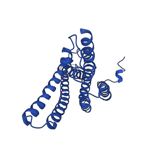 0957_6lr4_C_v1-0
Molecular basis for inhibition of human gamma-secretase by small molecule