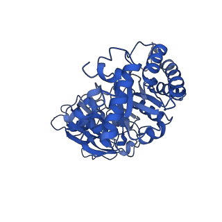 0959_6lrr_A_v1-2
Cryo-EM structure of RuBisCO-Raf1 from Anabaena sp. PCC 7120