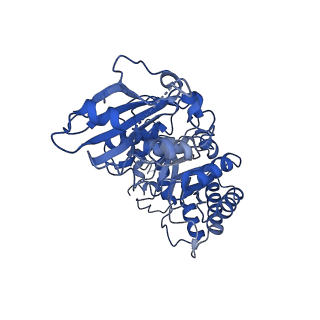 0959_6lrr_B_v1-2
Cryo-EM structure of RuBisCO-Raf1 from Anabaena sp. PCC 7120