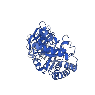 0959_6lrr_C_v1-2
Cryo-EM structure of RuBisCO-Raf1 from Anabaena sp. PCC 7120