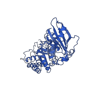 0959_6lrr_D_v1-2
Cryo-EM structure of RuBisCO-Raf1 from Anabaena sp. PCC 7120