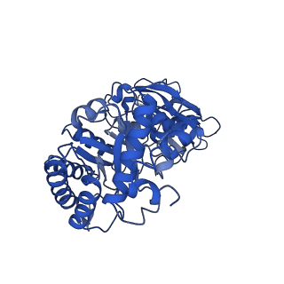 0959_6lrr_E_v1-2
Cryo-EM structure of RuBisCO-Raf1 from Anabaena sp. PCC 7120