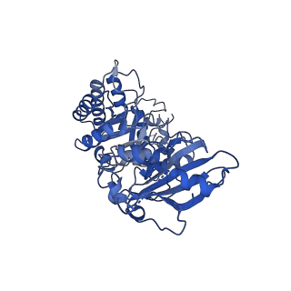 0959_6lrr_F_v1-2
Cryo-EM structure of RuBisCO-Raf1 from Anabaena sp. PCC 7120