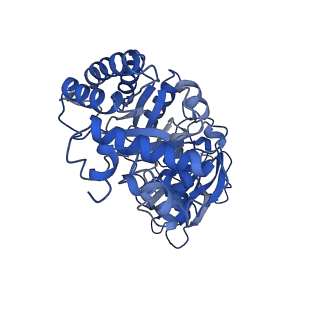 0959_6lrr_G_v1-2
Cryo-EM structure of RuBisCO-Raf1 from Anabaena sp. PCC 7120
