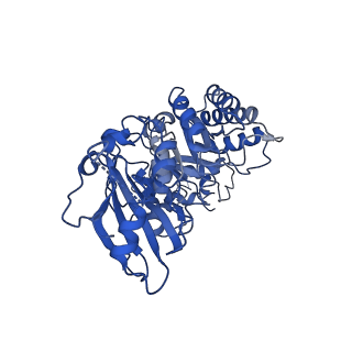 0959_6lrr_H_v1-2
Cryo-EM structure of RuBisCO-Raf1 from Anabaena sp. PCC 7120