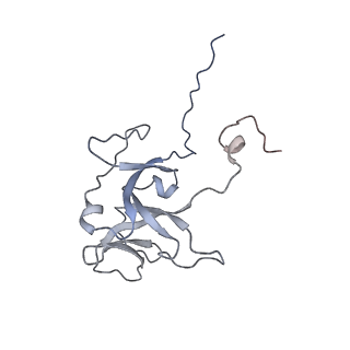 0959_6lrr_J_v1-2
Cryo-EM structure of RuBisCO-Raf1 from Anabaena sp. PCC 7120