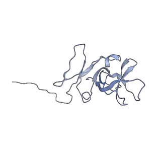 0959_6lrr_K_v1-2
Cryo-EM structure of RuBisCO-Raf1 from Anabaena sp. PCC 7120