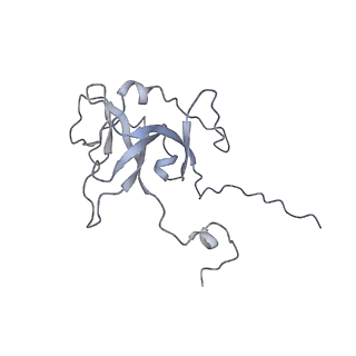 0959_6lrr_L_v1-2
Cryo-EM structure of RuBisCO-Raf1 from Anabaena sp. PCC 7120