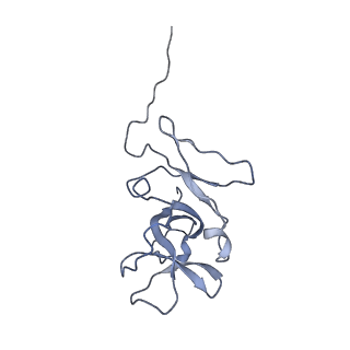 0959_6lrr_M_v1-2
Cryo-EM structure of RuBisCO-Raf1 from Anabaena sp. PCC 7120