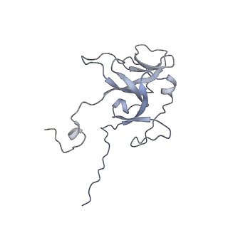 0959_6lrr_N_v1-2
Cryo-EM structure of RuBisCO-Raf1 from Anabaena sp. PCC 7120
