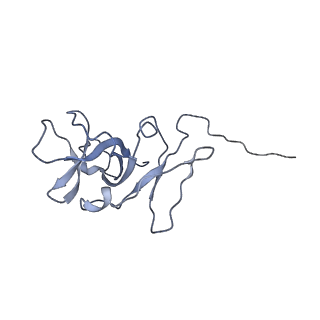 0959_6lrr_O_v1-2
Cryo-EM structure of RuBisCO-Raf1 from Anabaena sp. PCC 7120