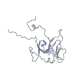 0959_6lrr_P_v1-2
Cryo-EM structure of RuBisCO-Raf1 from Anabaena sp. PCC 7120