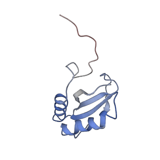 0959_6lrr_Q_v1-2
Cryo-EM structure of RuBisCO-Raf1 from Anabaena sp. PCC 7120