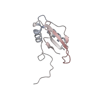 0959_6lrr_R_v1-2
Cryo-EM structure of RuBisCO-Raf1 from Anabaena sp. PCC 7120
