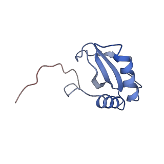 0959_6lrr_T_v1-2
Cryo-EM structure of RuBisCO-Raf1 from Anabaena sp. PCC 7120