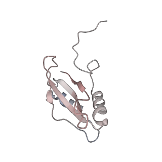 0959_6lrr_V_v1-2
Cryo-EM structure of RuBisCO-Raf1 from Anabaena sp. PCC 7120