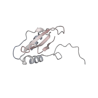 0959_6lrr_W_v1-2
Cryo-EM structure of RuBisCO-Raf1 from Anabaena sp. PCC 7120