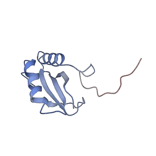 0959_6lrr_X_v1-2
Cryo-EM structure of RuBisCO-Raf1 from Anabaena sp. PCC 7120