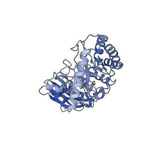 0960_6lrs_A_v1-0
Cryo-EM structure of RbcL8-RbcS4 from Anabaena sp. PCC 7120