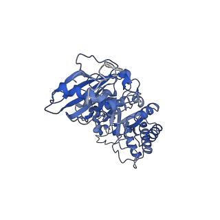 0960_6lrs_B_v1-0
Cryo-EM structure of RbcL8-RbcS4 from Anabaena sp. PCC 7120