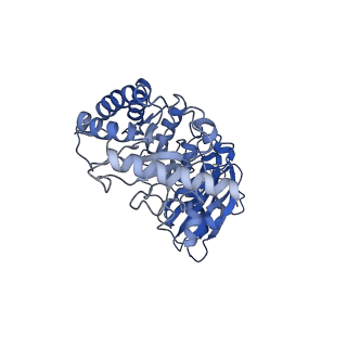 0960_6lrs_C_v1-0
Cryo-EM structure of RbcL8-RbcS4 from Anabaena sp. PCC 7120