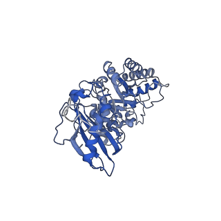 0960_6lrs_D_v1-0
Cryo-EM structure of RbcL8-RbcS4 from Anabaena sp. PCC 7120