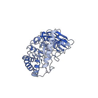 0960_6lrs_E_v1-0
Cryo-EM structure of RbcL8-RbcS4 from Anabaena sp. PCC 7120